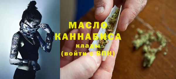 МДПВ Каменногорск