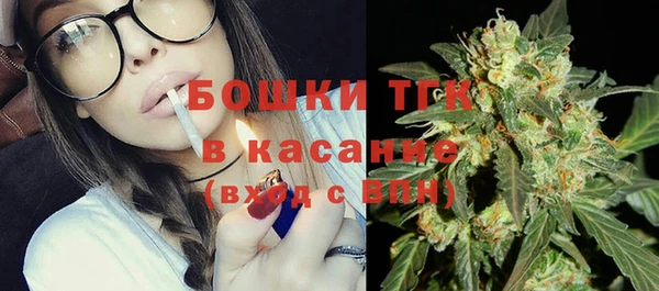 МДПВ Каменногорск