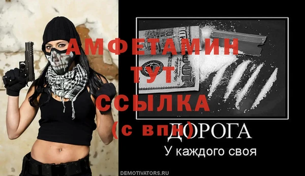 МДПВ Каменногорск