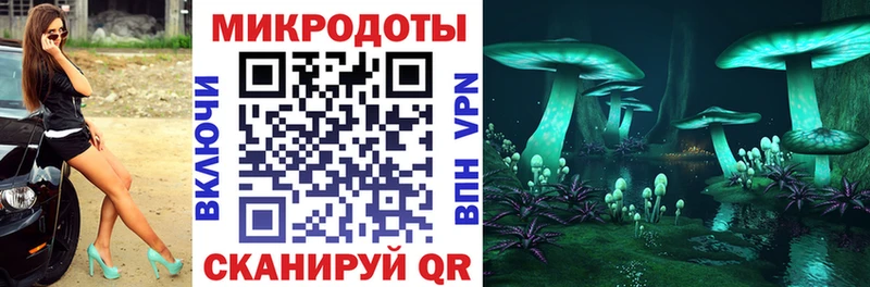 MEGA зеркало купить цена Шебекино Псилоцибиновые грибы Psilocybine cubensis